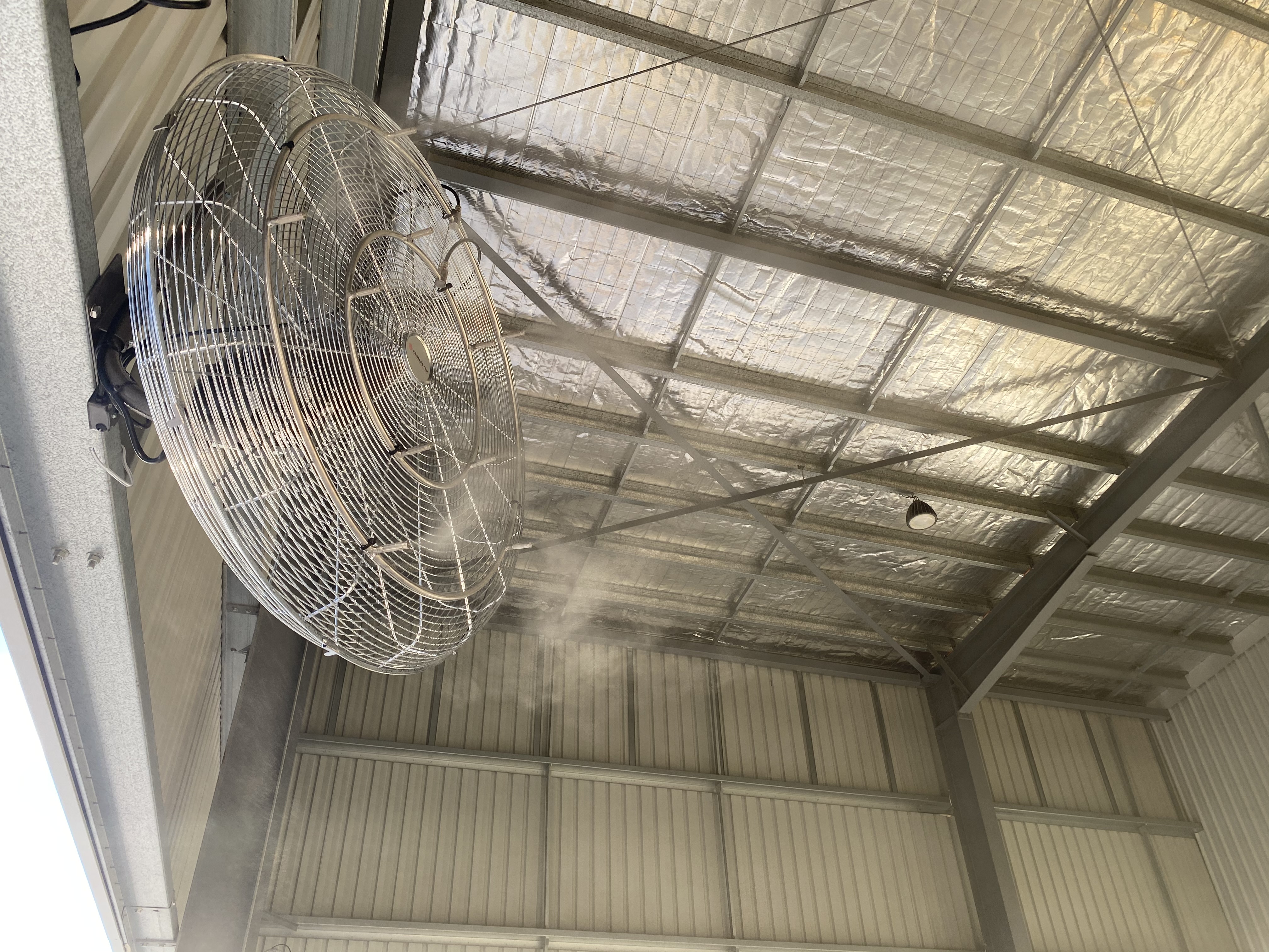 Large ceiling misting fan in industrial shed